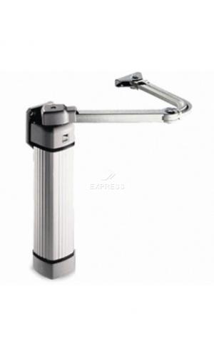 Motorisation portail battant Came f510