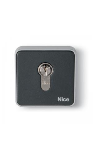 Nice ekseu (meme cle)