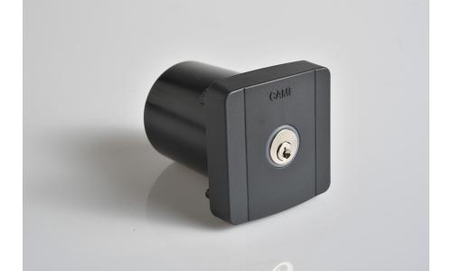 Came 806sl 0020