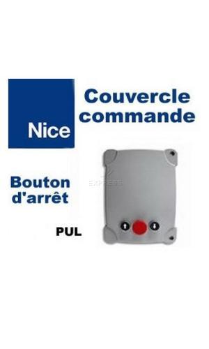 Nice pul